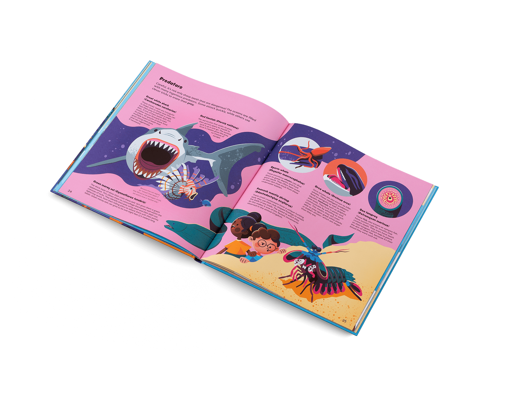 Open book with colorful illustrations of a shark, turtle, and other sea creatures on a white background