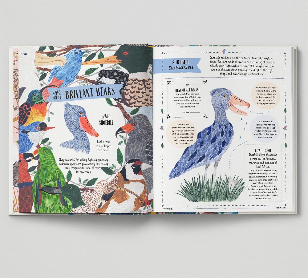 Open book showing pages with illustrations of birds and text on a white background