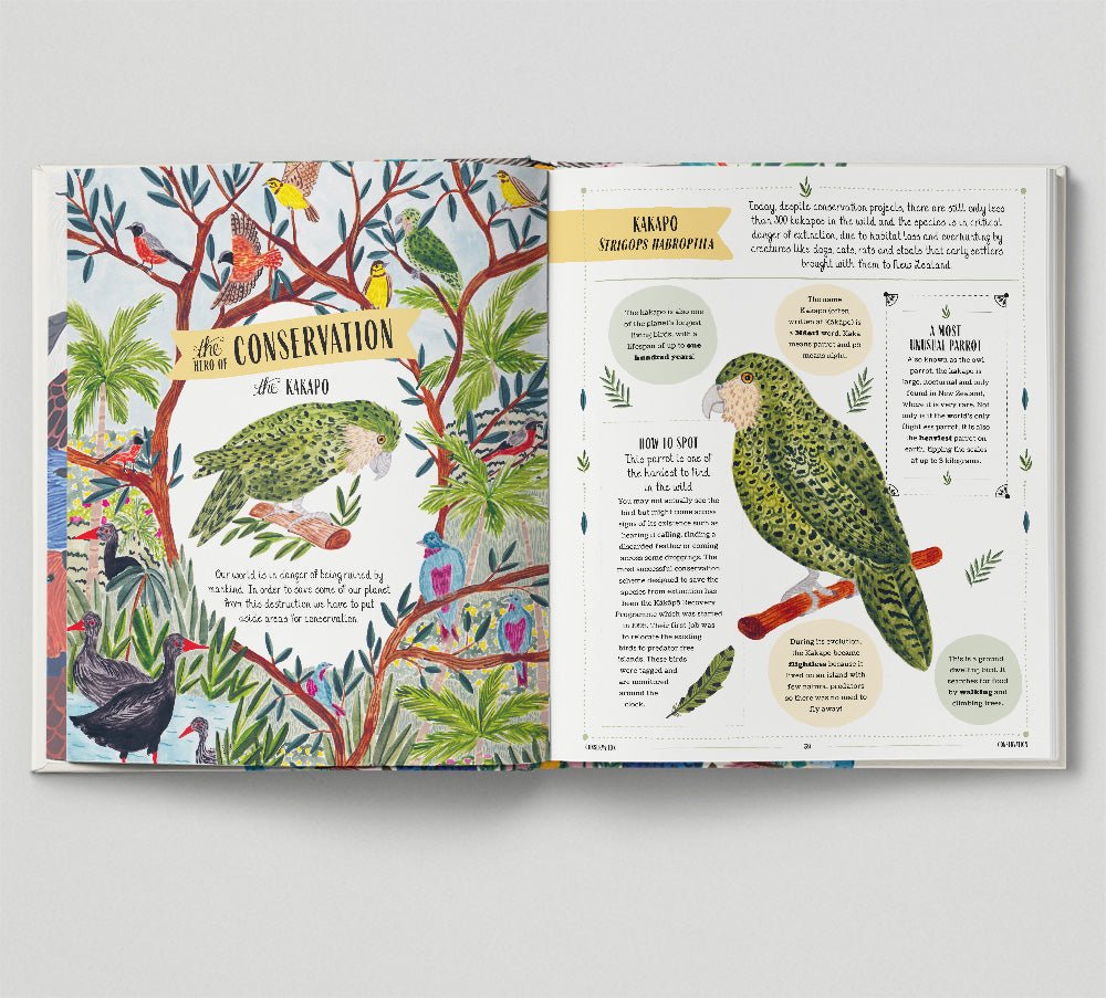 Open book with illustrations of birds and conservation information on a white background
