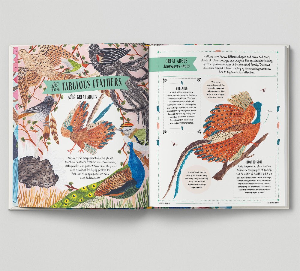 Open book with illustrations of birds and text on a white background