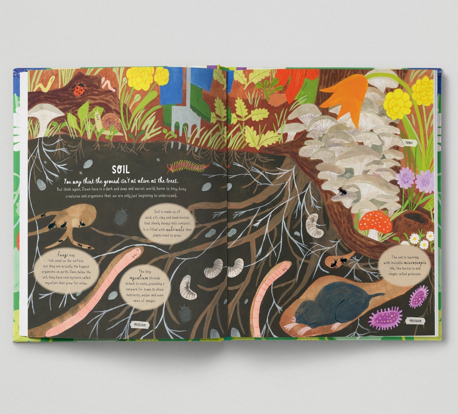 Illustrated book page about soil with various elements and text on a gray background
