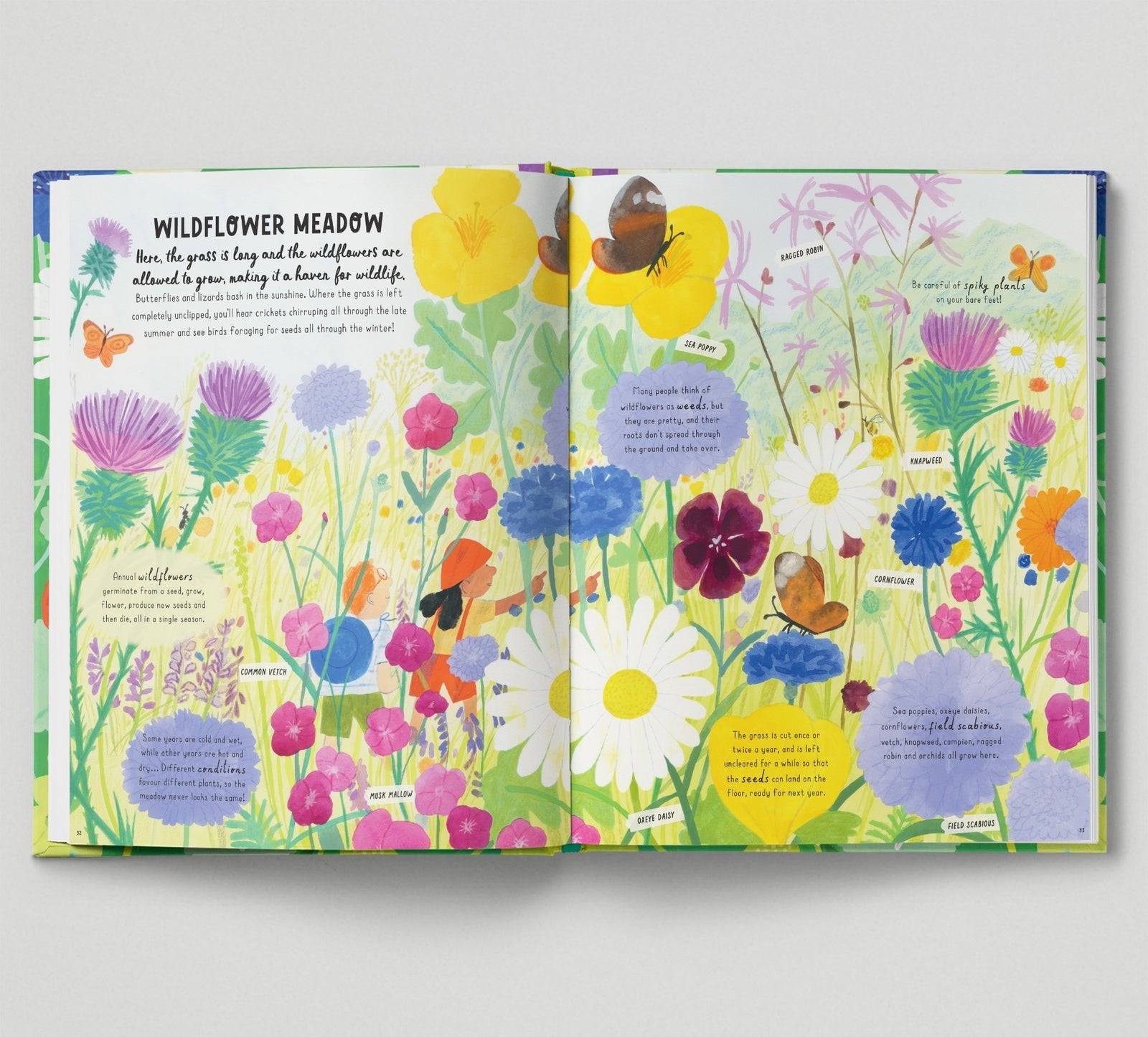 Illustrated book open to a page with colorful wildflowers and butterflies on a white background