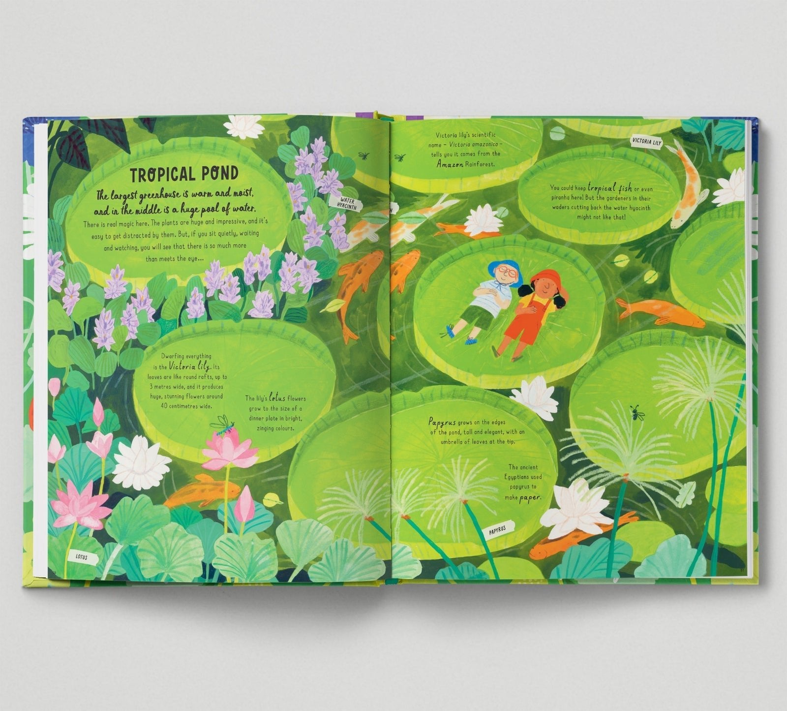 Illustrated book open to a page with a tropical pond theme, featuring green lily pads and colorful fish.