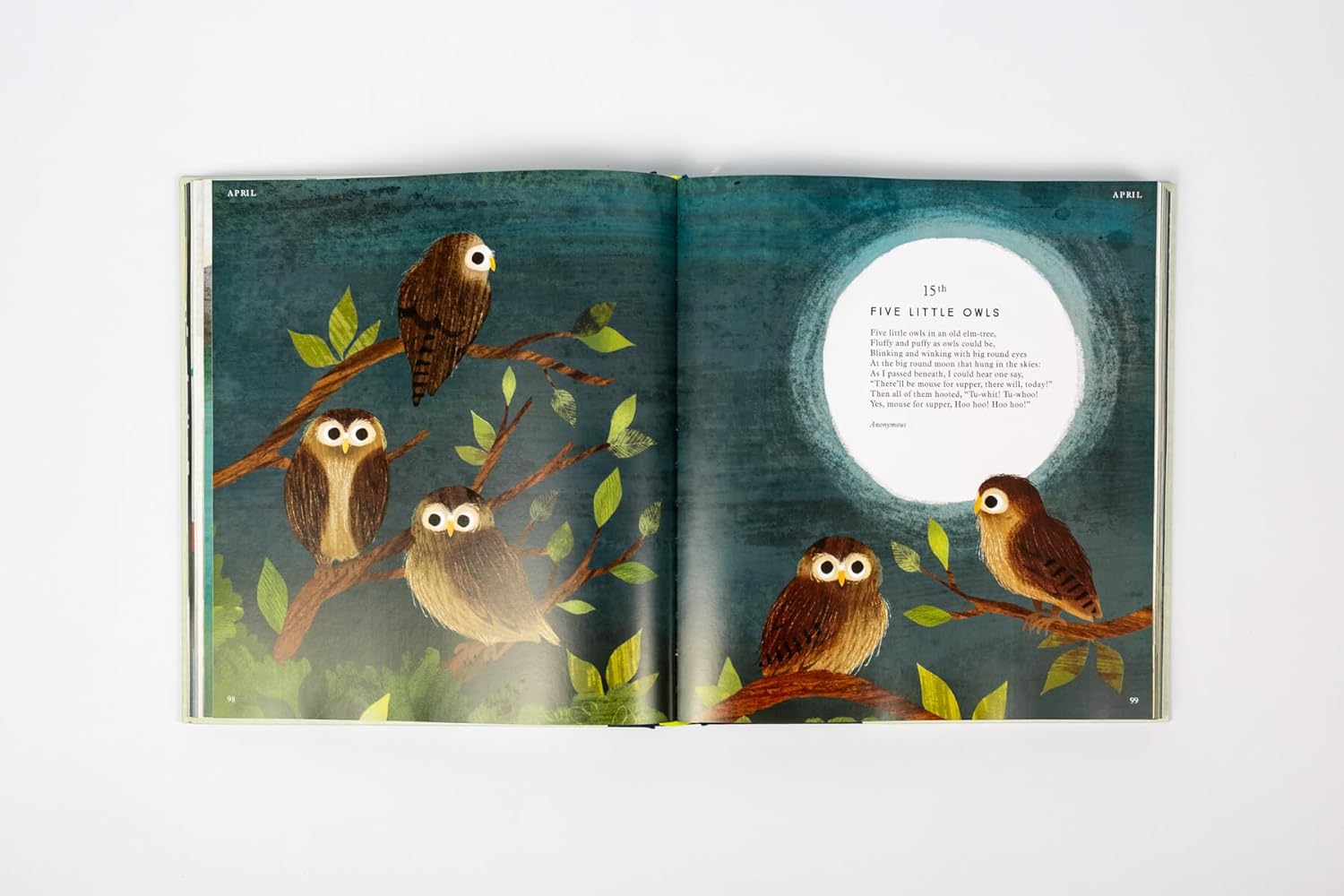 I Am the Seed That Grew the Tree - Haliburtons & Co.