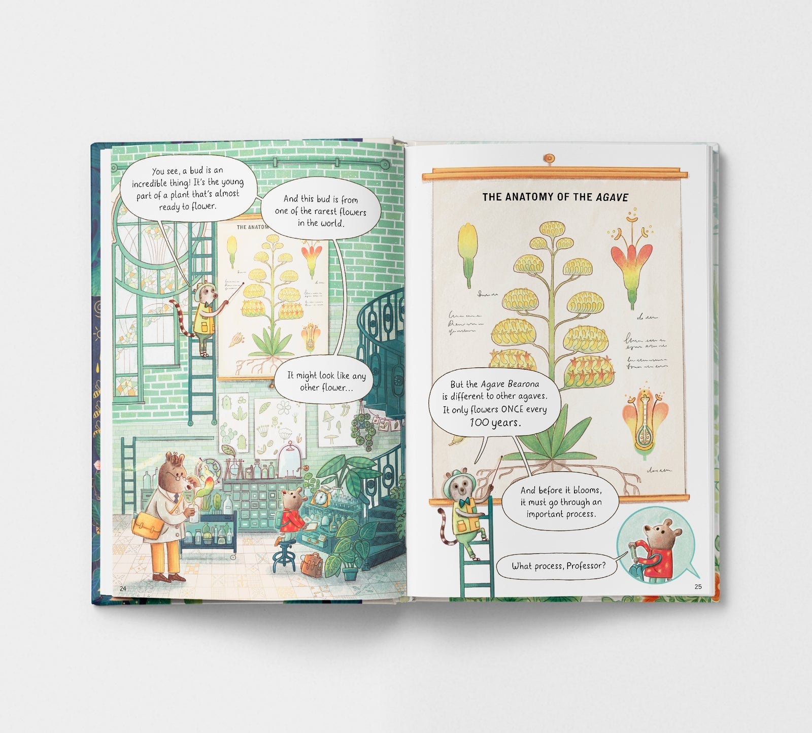 Open book with illustrations and text on a white background