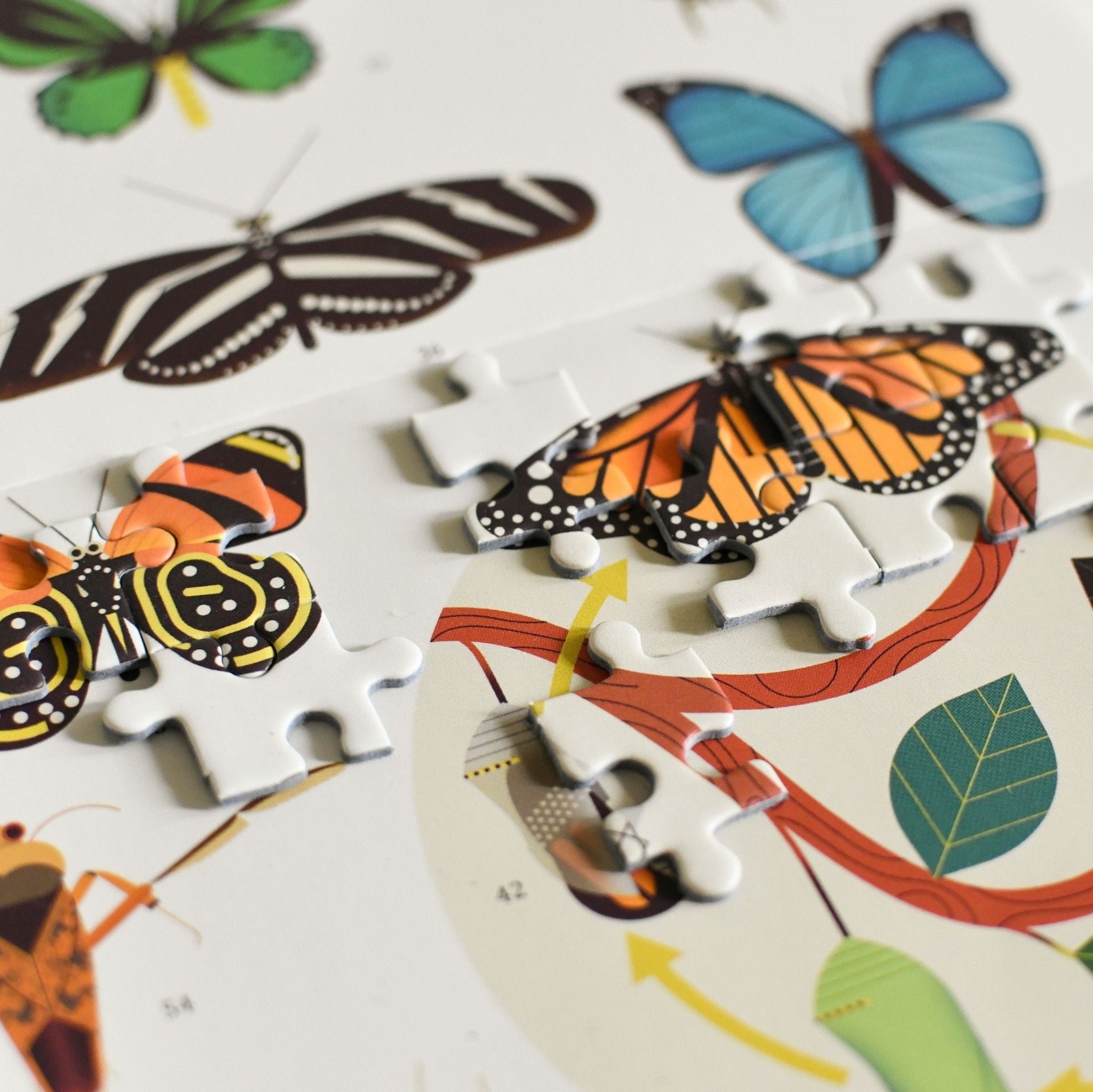 Insects Jigsaw Puzzle 500pc by Poppik