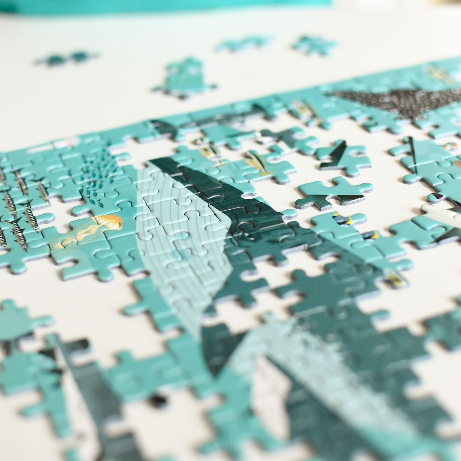 Jigsaw Puzzle 500pc: Oceans - Haliburtons & Co.