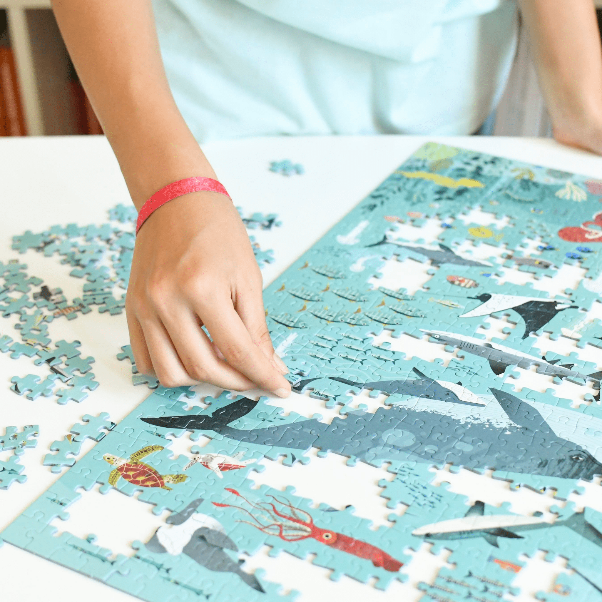 Jigsaw Puzzle 500pc: Oceans - Haliburtons & Co.