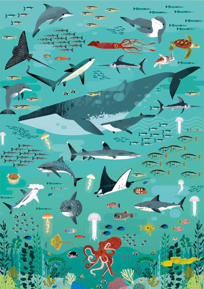 Jigsaw Puzzle 500 Piece: Oceans – Poppik – Haliburtons & Co.