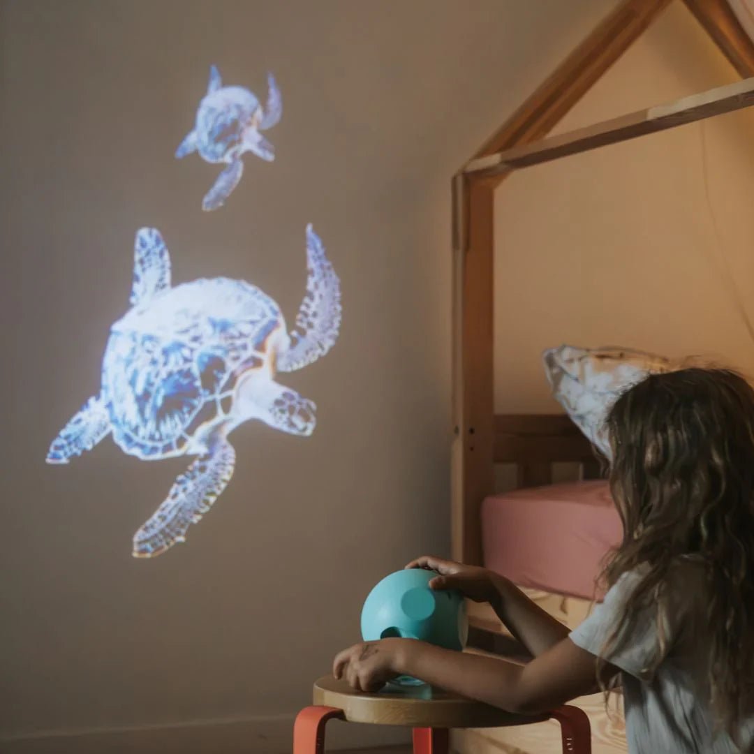 Child interacting with a projection of a turtle on a wall in a cozy room.