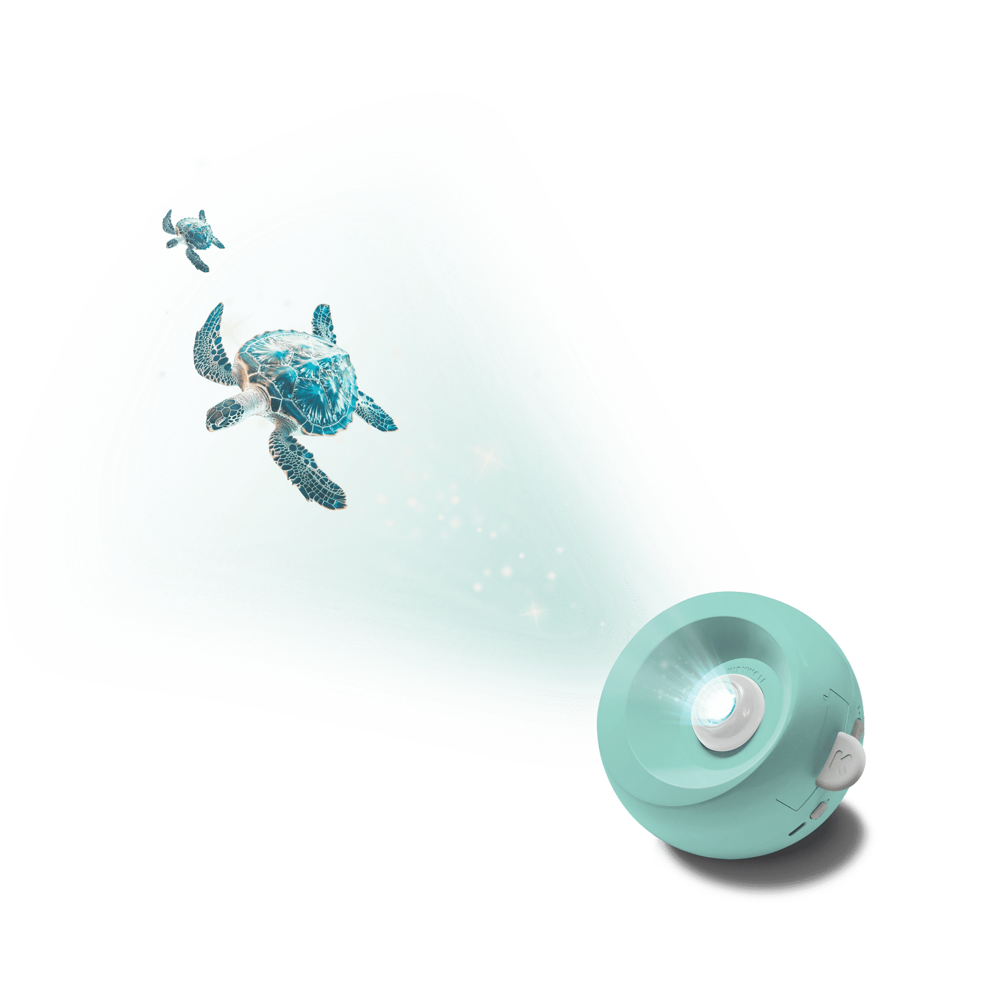 Turquoise turtle toy with a light on a white background