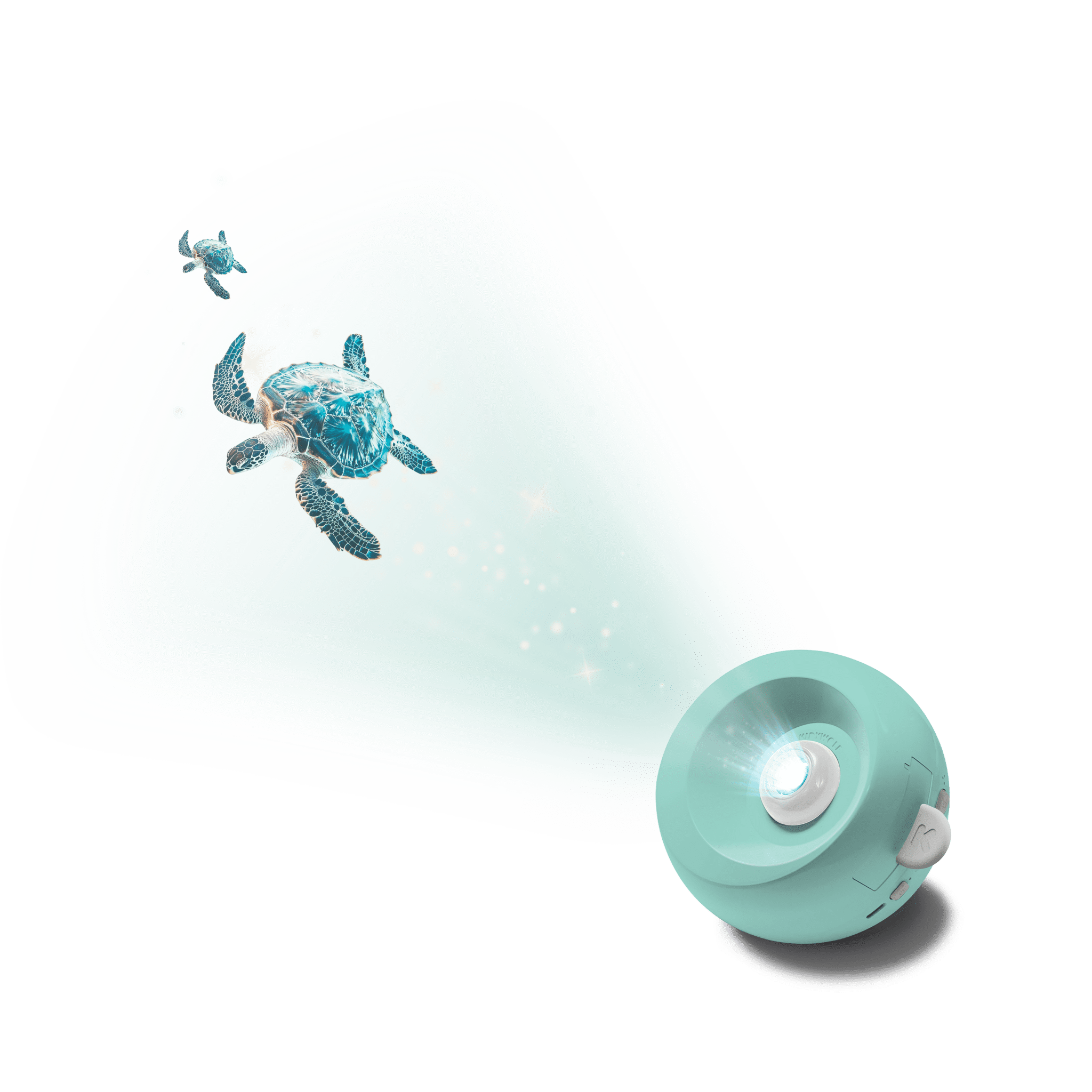 Turquoise turtle toy with a light on a white background