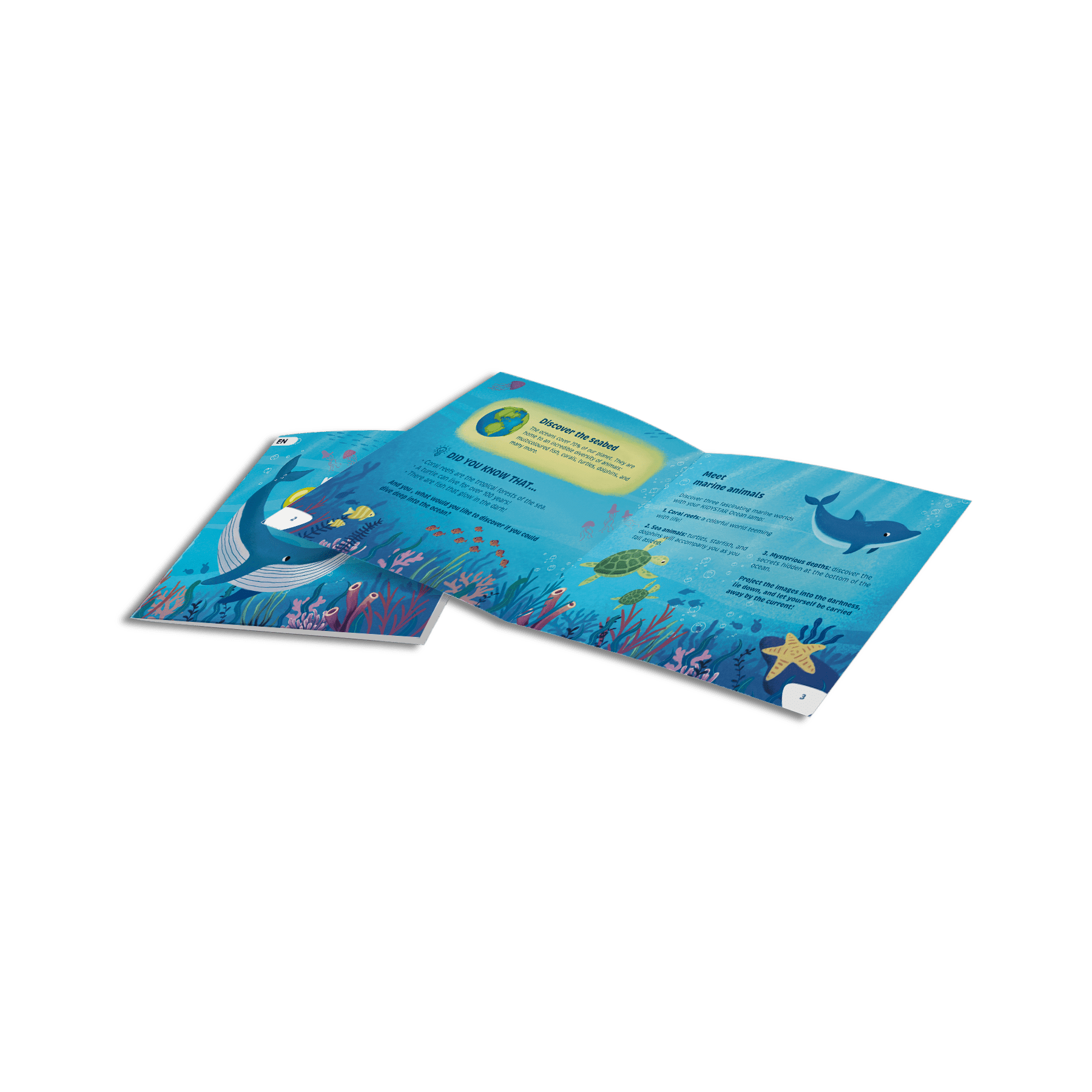 Educational children's book about the ocean with colorful illustrations on a white background