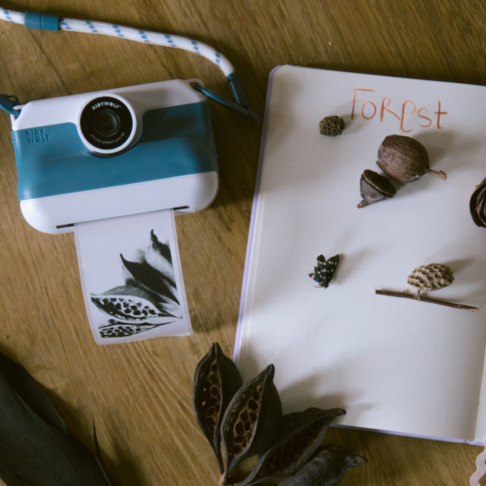 Fujifilm Instax camera with printed photo on a notebook titled 'Forest' with nature-themed items.