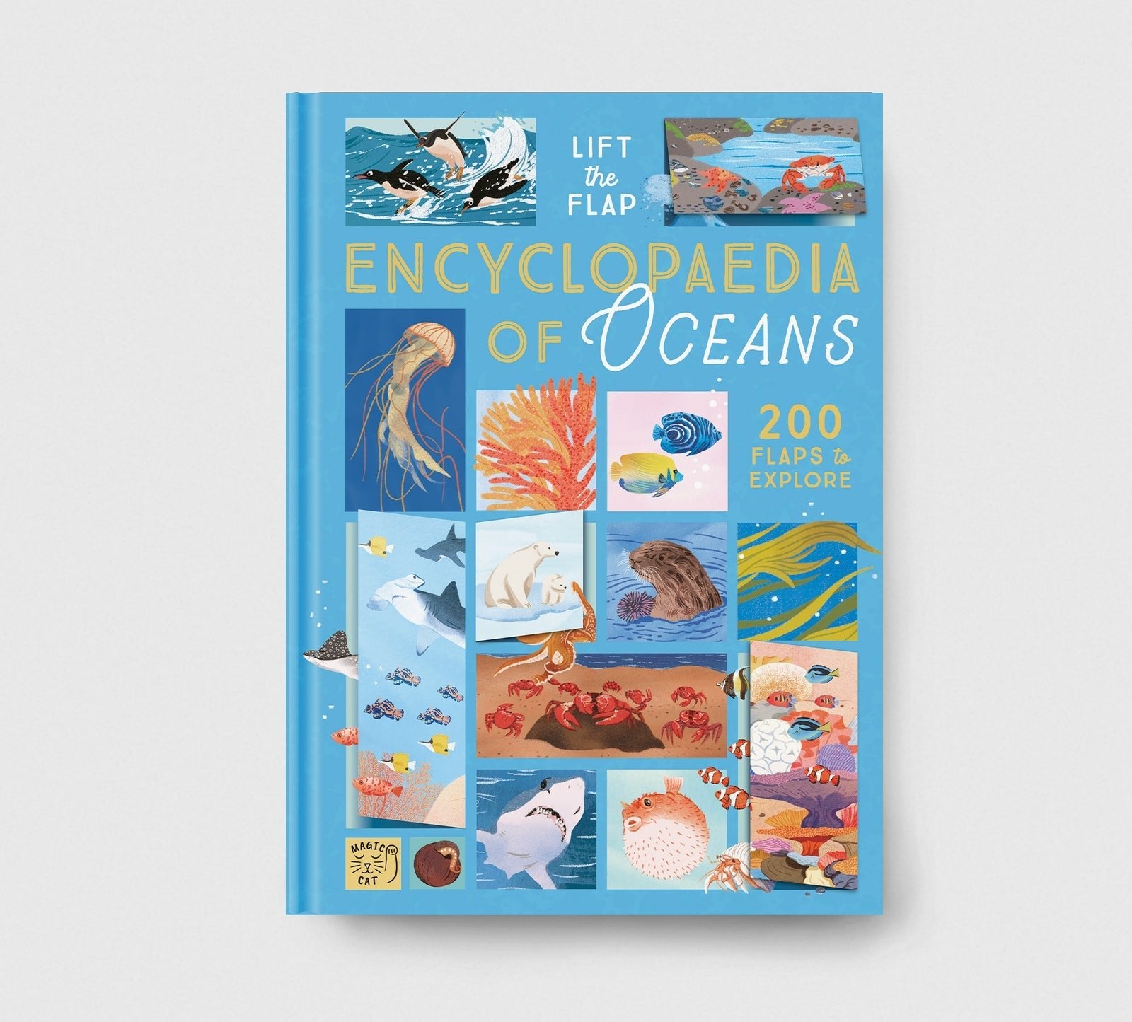 Book titled 'Encyclopaedia of Oceans' with illustrations of ocean life on a blue cover.