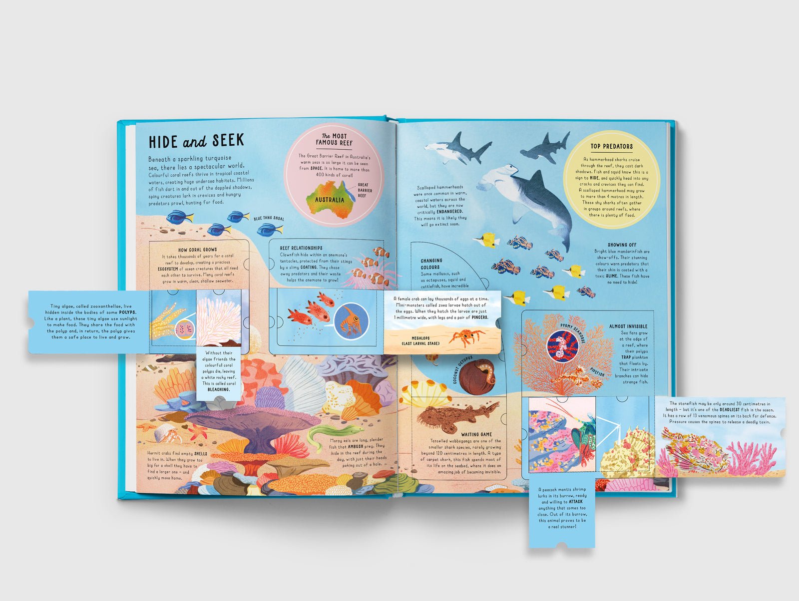 Open book with educational content on marine life and geography, featuring colorful illustrations.