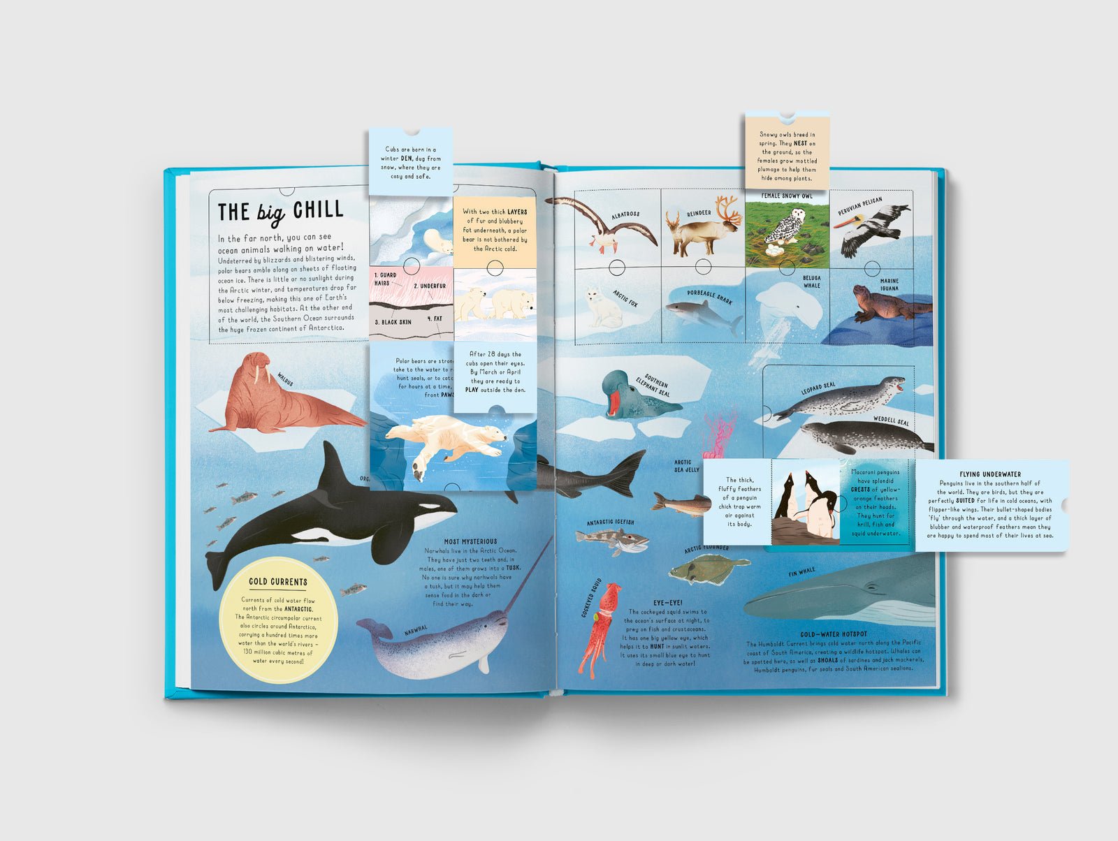 Open book showing illustrations of marine animals with text on a white background