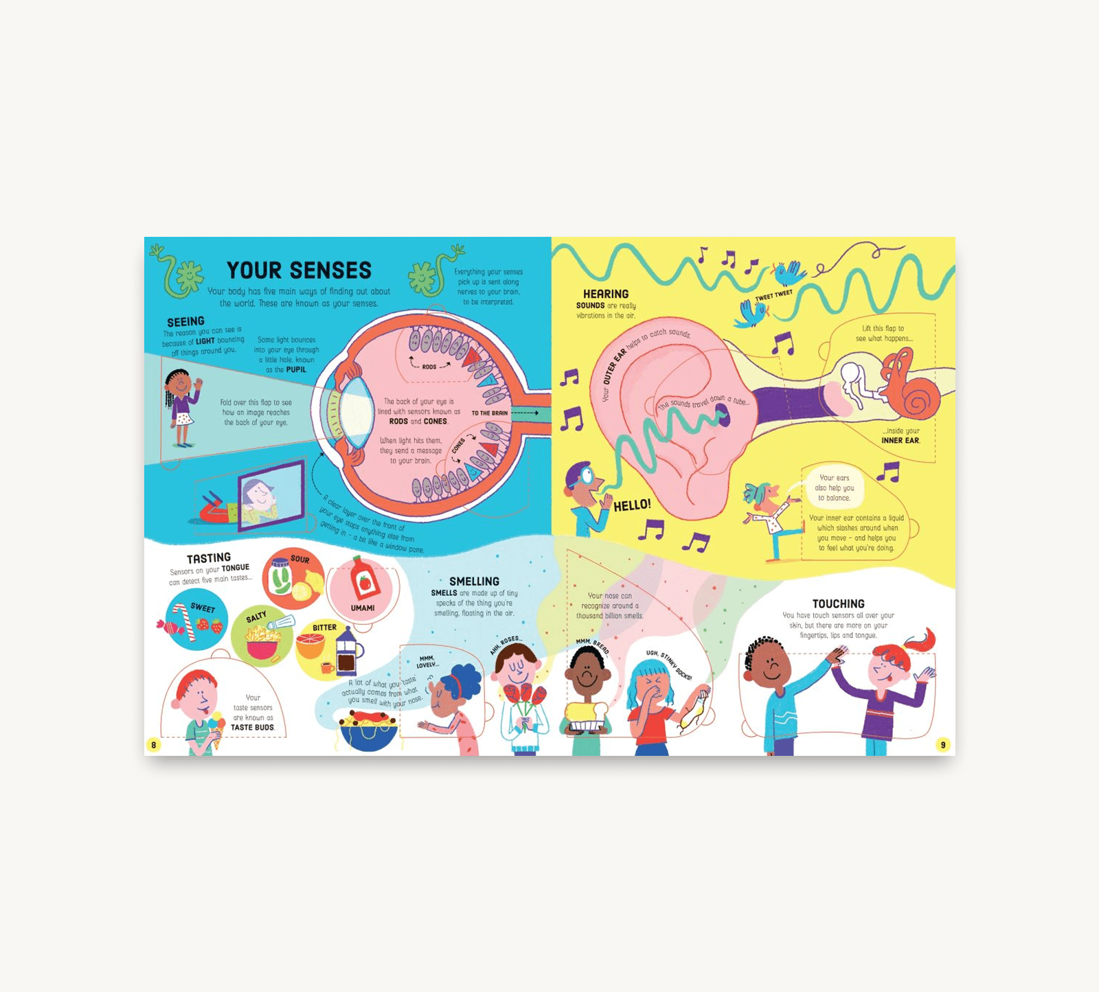 Educational children's book page about senses with colorful illustrations on a white background