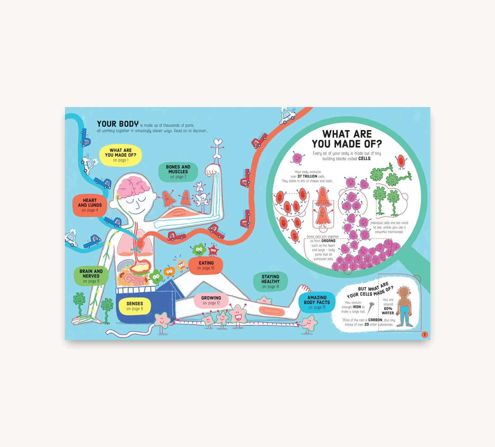 Educational poster about the human body and its components on a light blue background