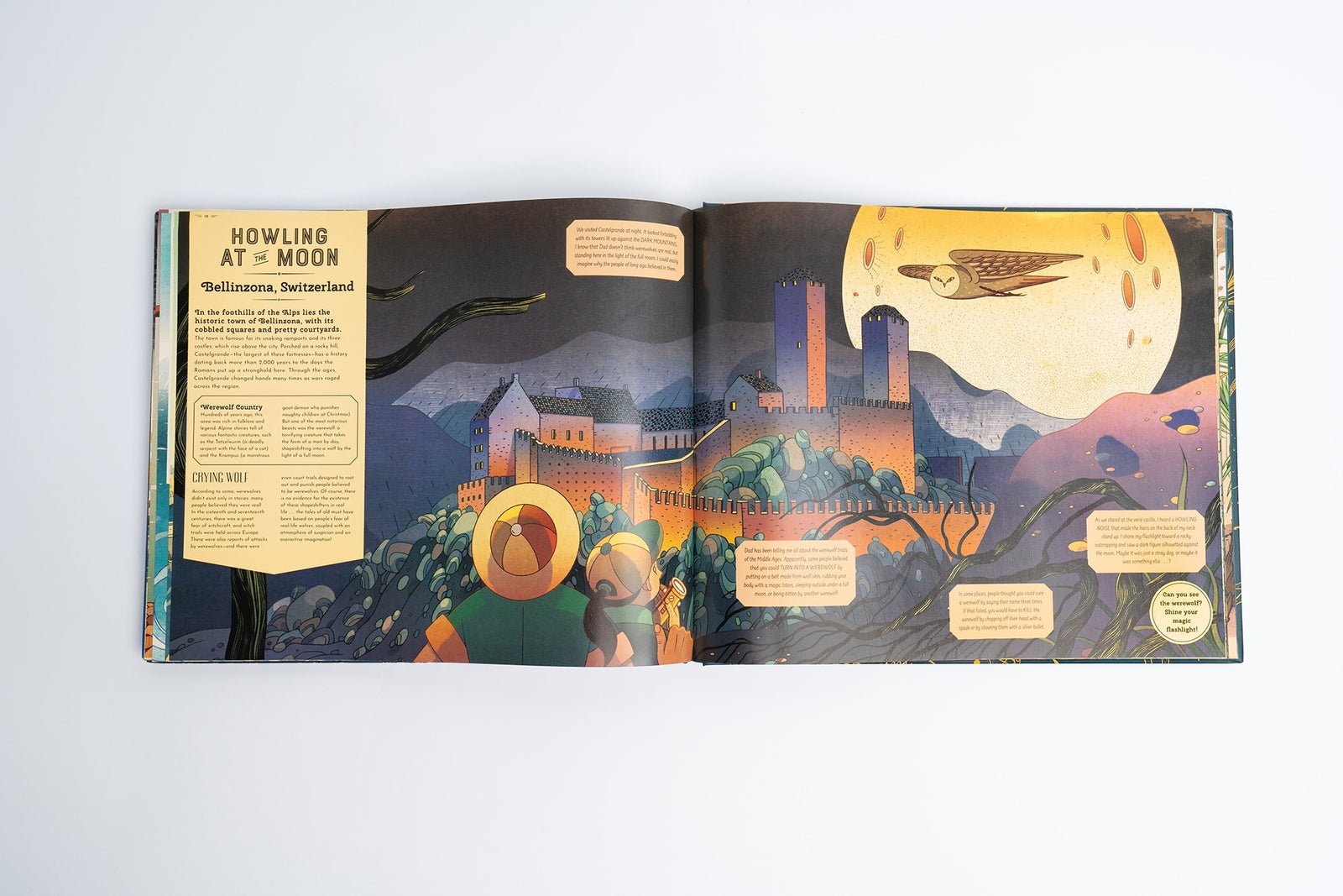 Open book with illustrated pages featuring a moonlit scene and text on a white background