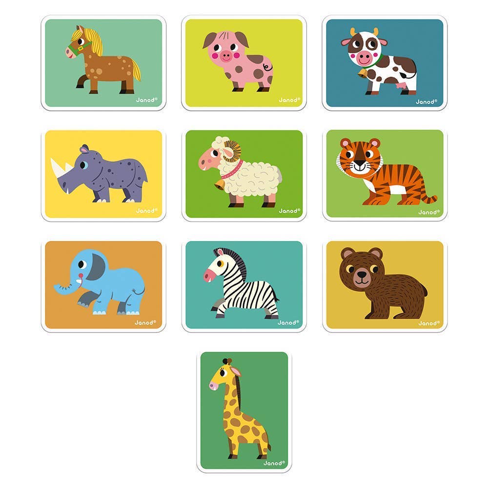 Set of animal cards with colorful backgrounds and illustrations of various animals.