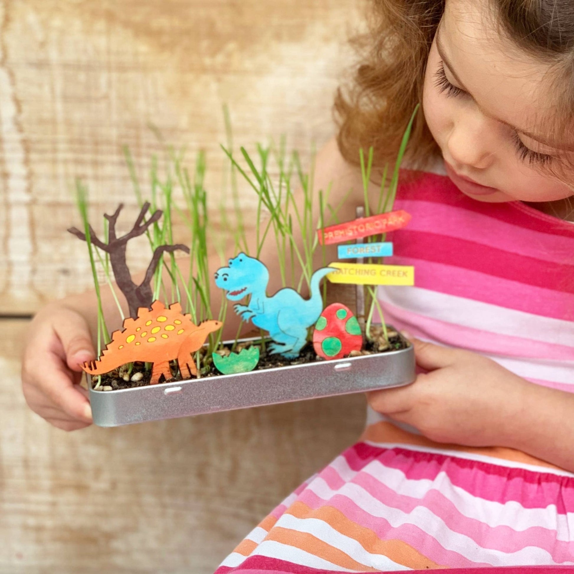 Make Your Own Dinosaur Garden - Haliburtons & Co.