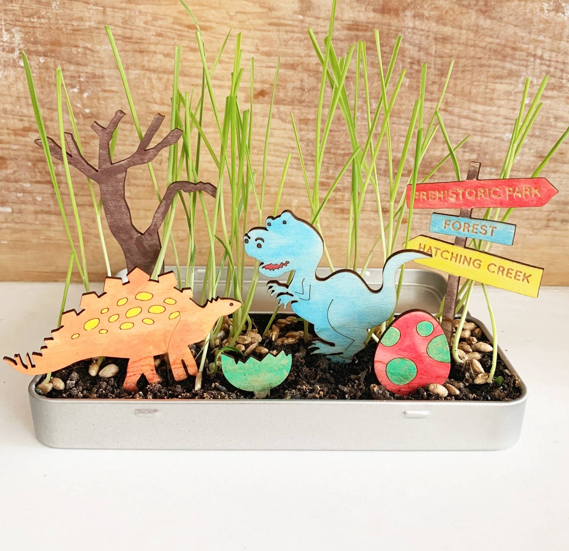 Make Your Own Dinosaur Garden - Haliburtons & Co.