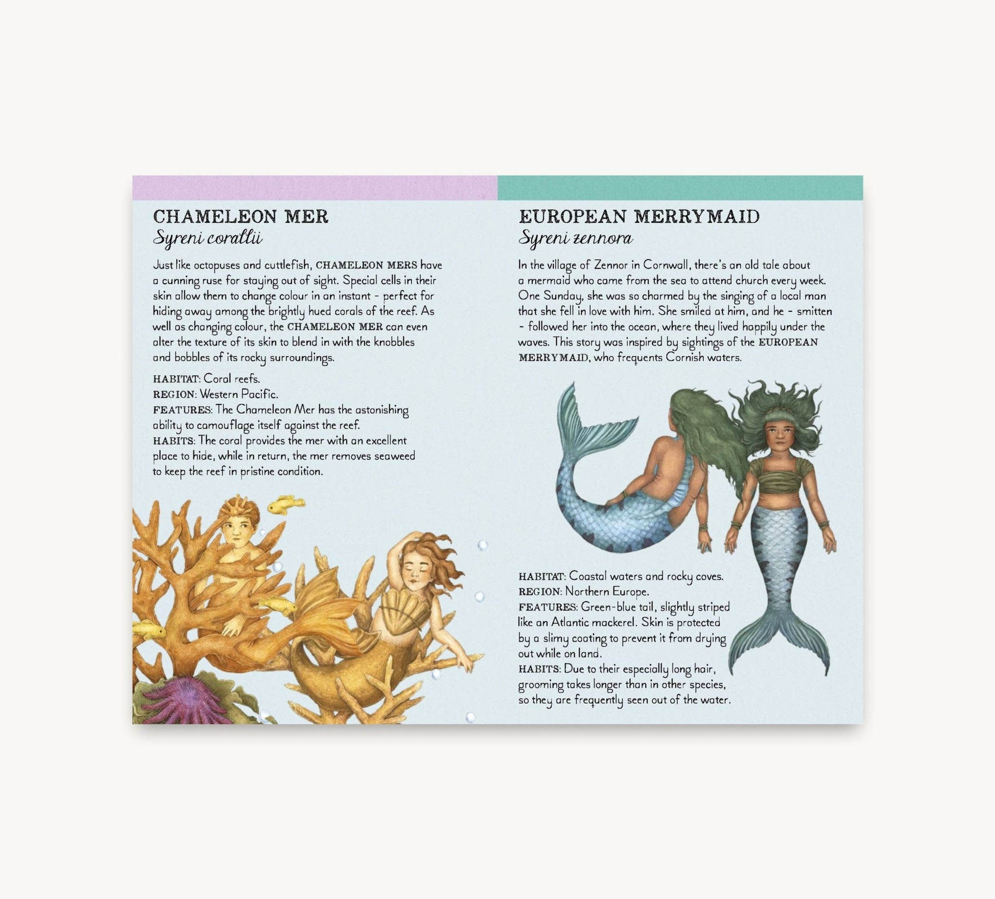 Match the Mermaids Memory Game - Haliburtons & Co.