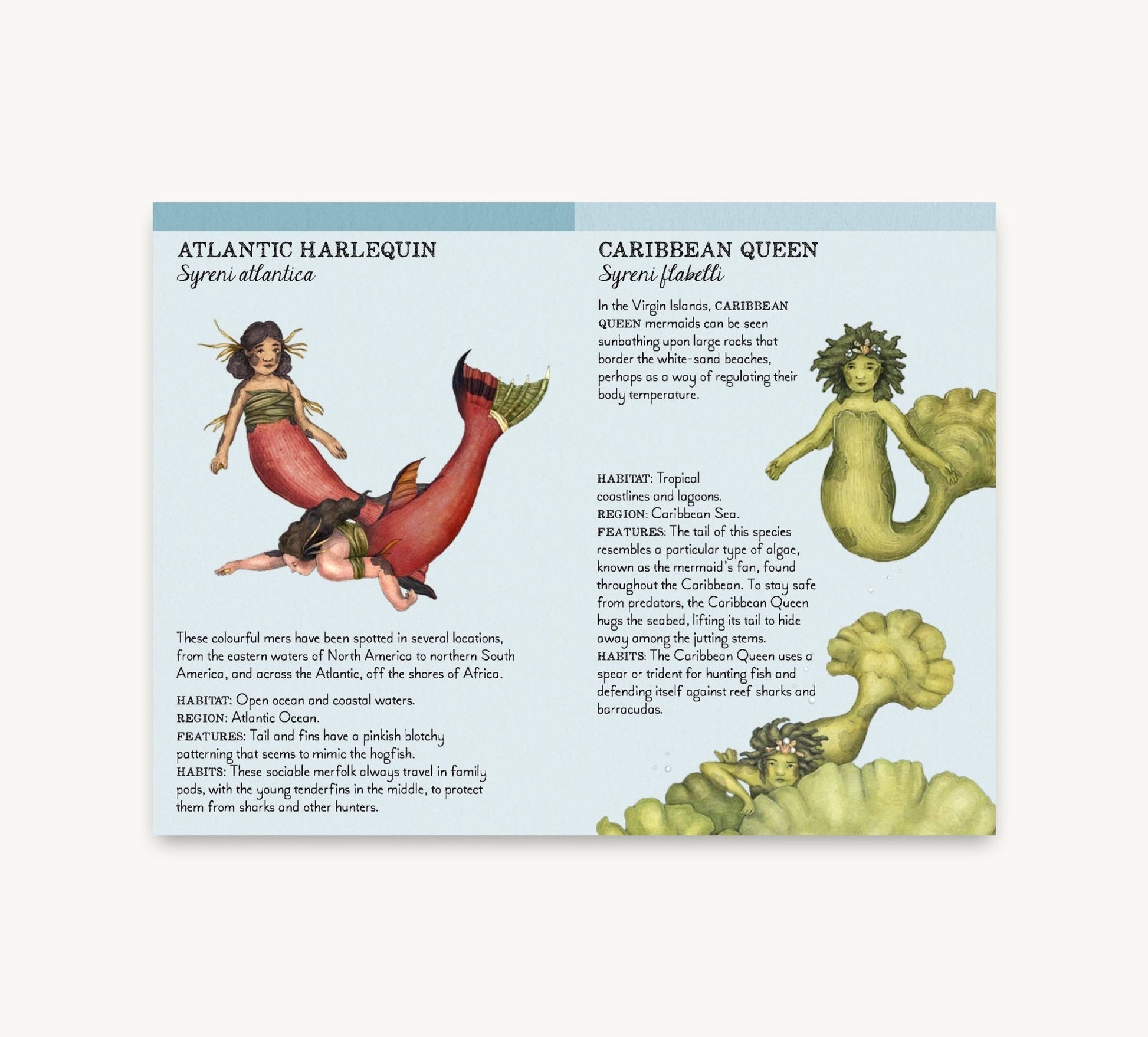 Match the Mermaids Memory Game - Haliburtons & Co.