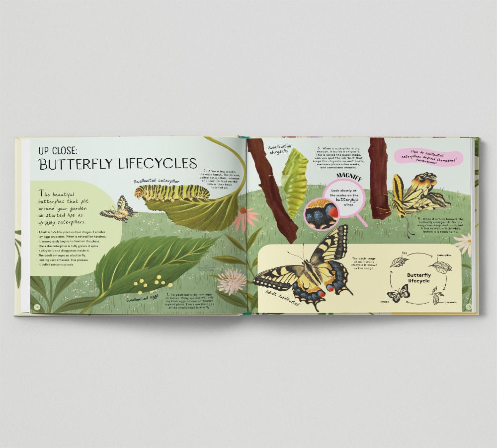 Minibeasts: Under the Magnifying Glass - Haliburtons & Co.
