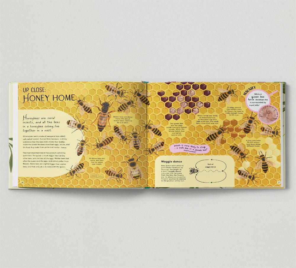 Minibeasts: Under the Magnifying Glass - Haliburtons & Co.
