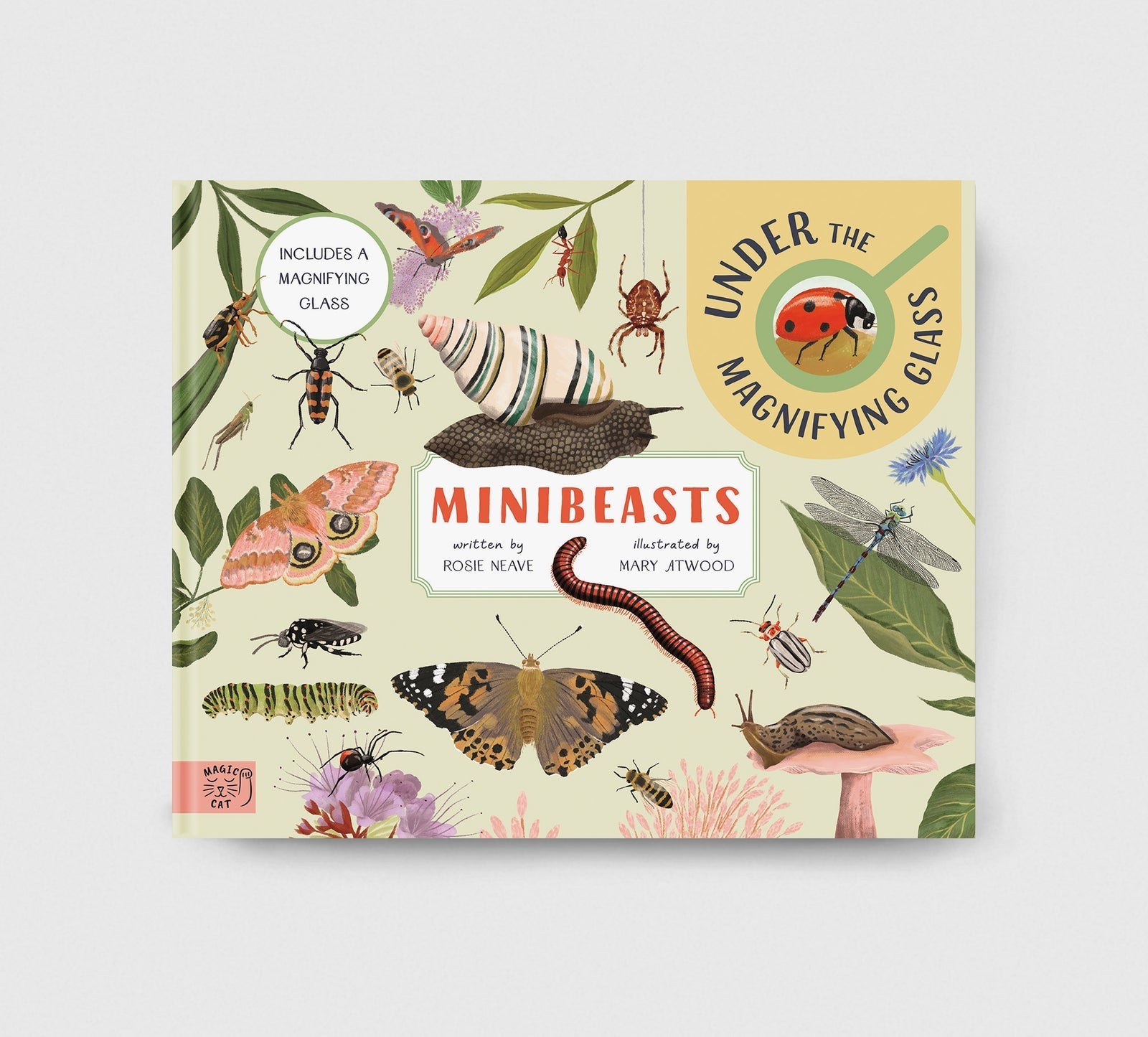 Minibeasts: Under the Magnifying Glass - Haliburtons & Co.