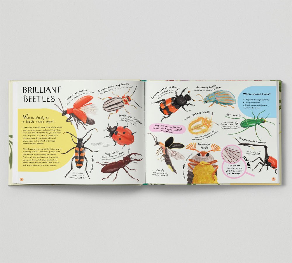 Minibeasts: Under the Magnifying Glass - Haliburtons & Co.