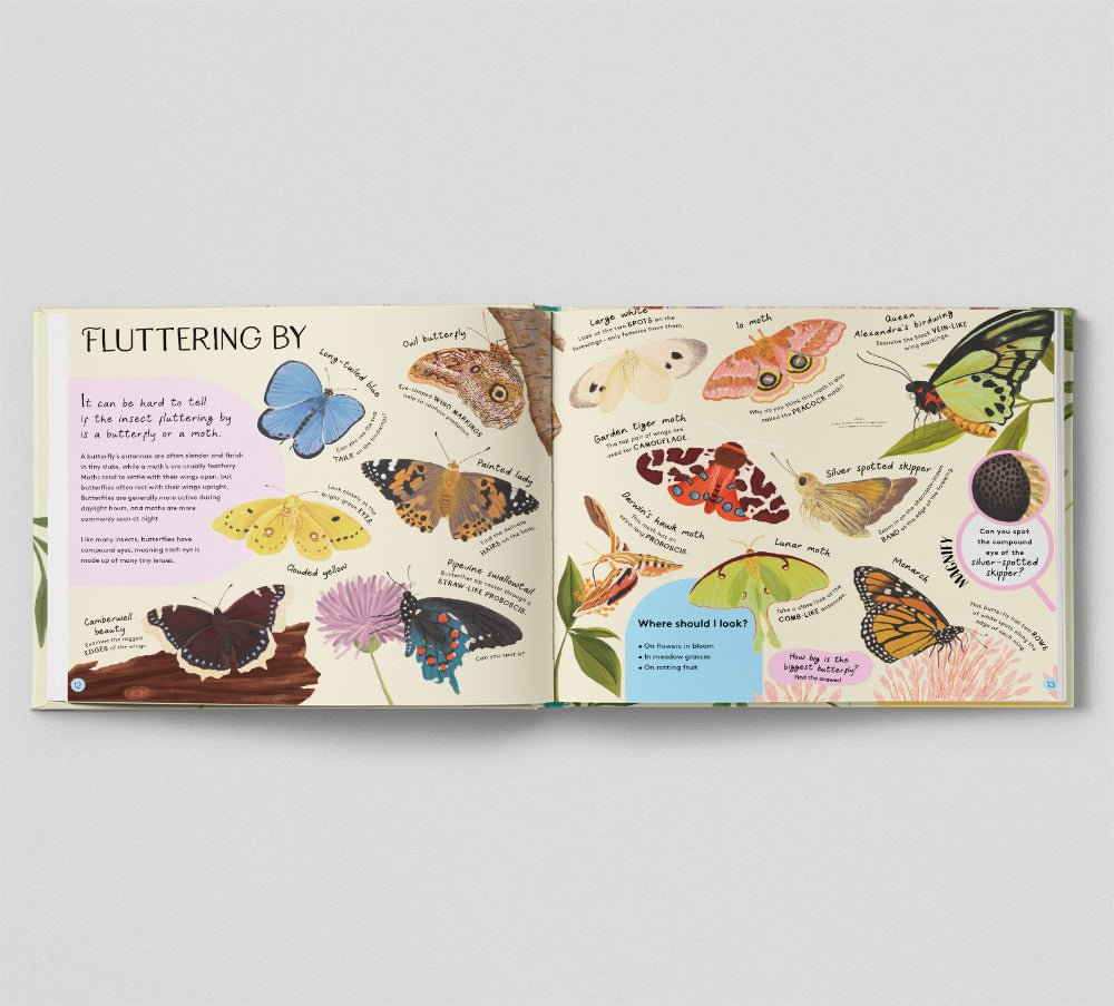 Minibeasts: Under the Magnifying Glass - Haliburtons & Co.