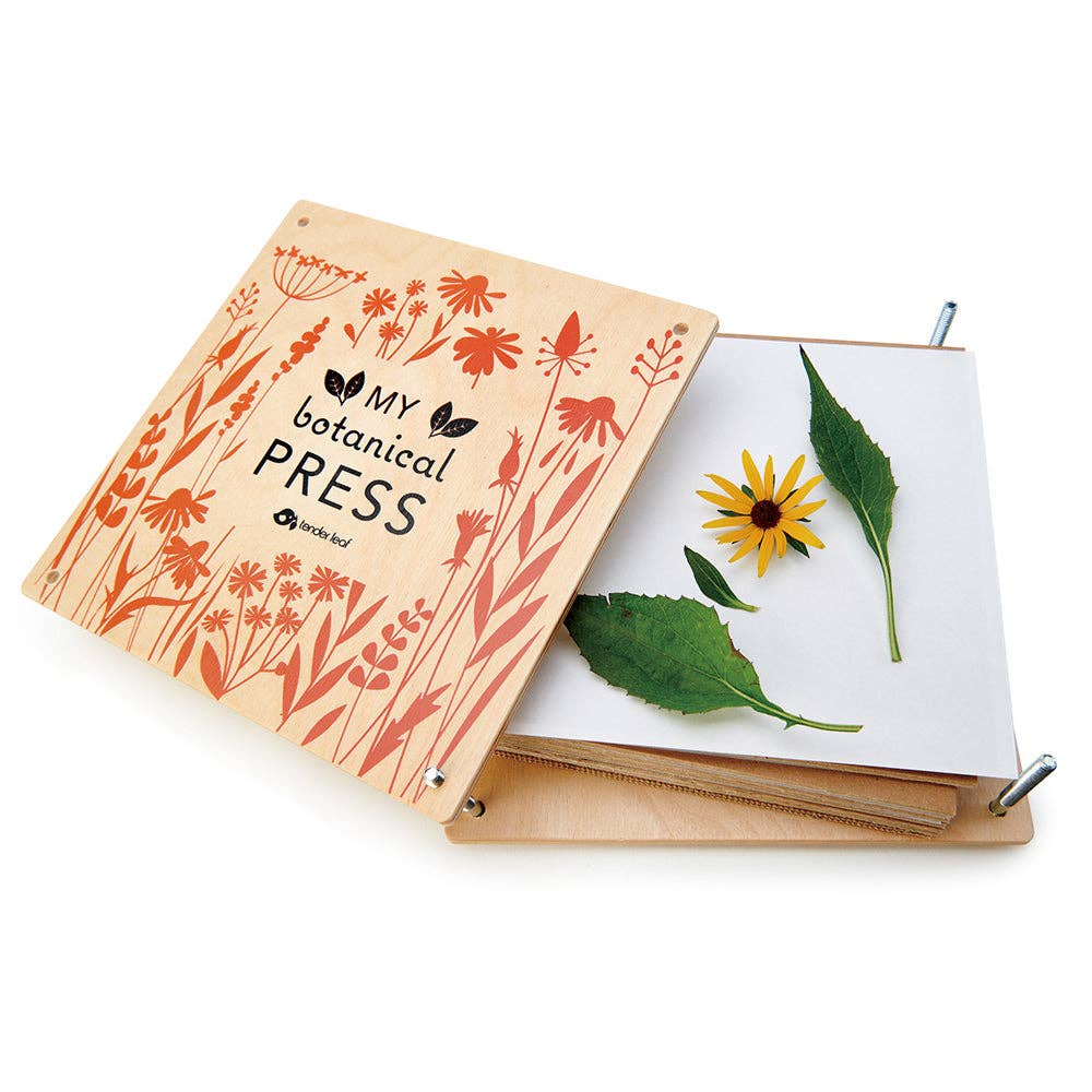 My Botanical Press with dried flowers and leaves on a white background
