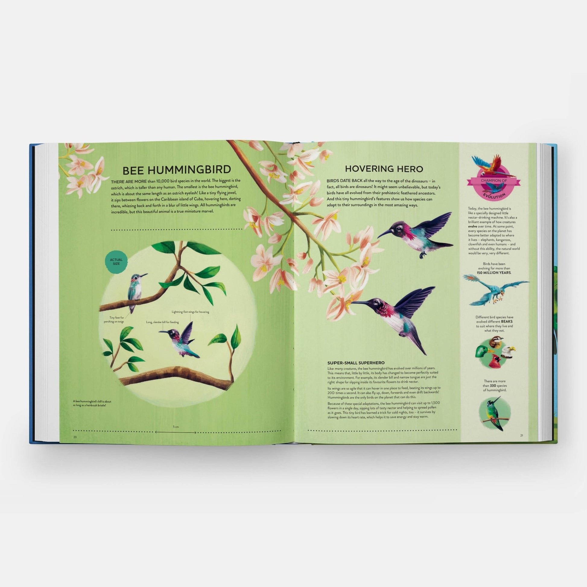 Nature's Tiny Champions - Haliburtons & Co.
