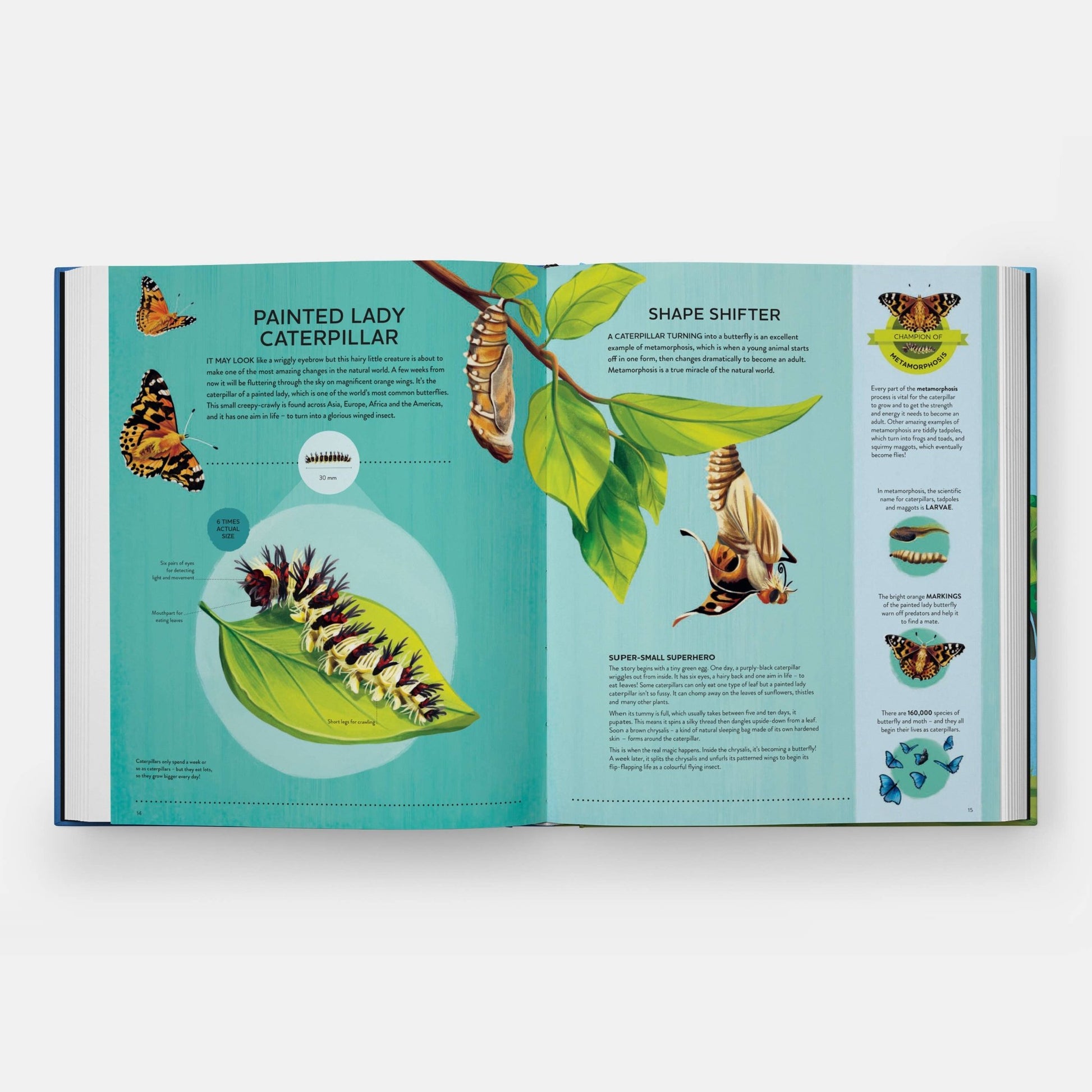 Nature's Tiny Champions - Haliburtons & Co.