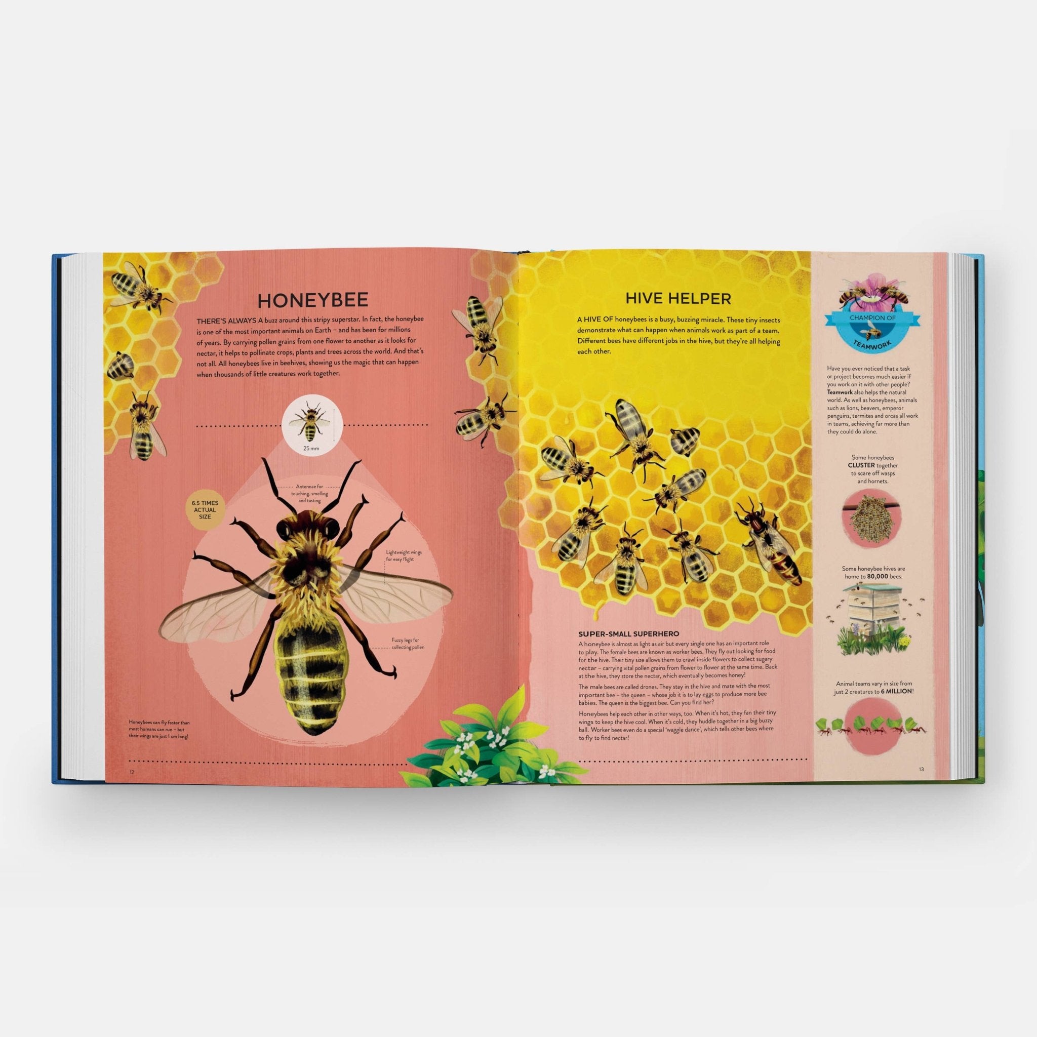 Nature's Tiny Champions - Haliburtons & Co.