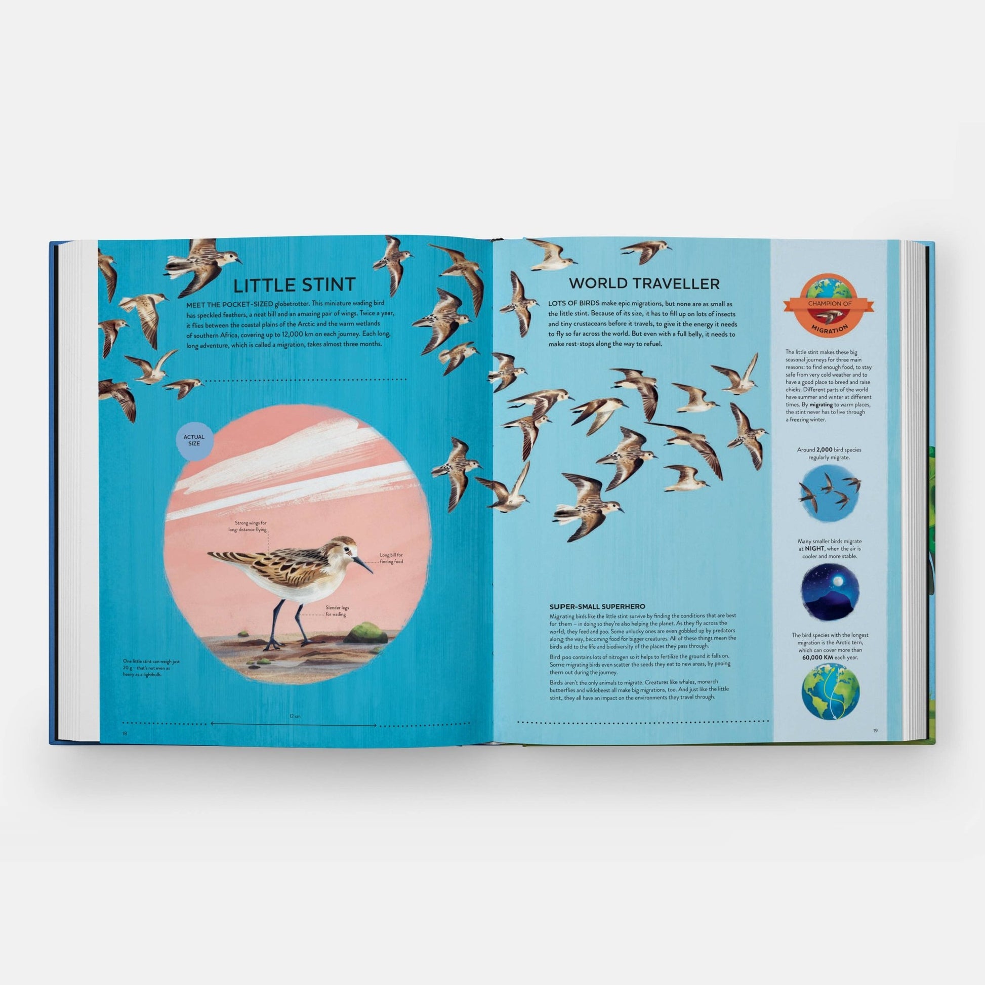 Nature's Tiny Champions - Haliburtons & Co.