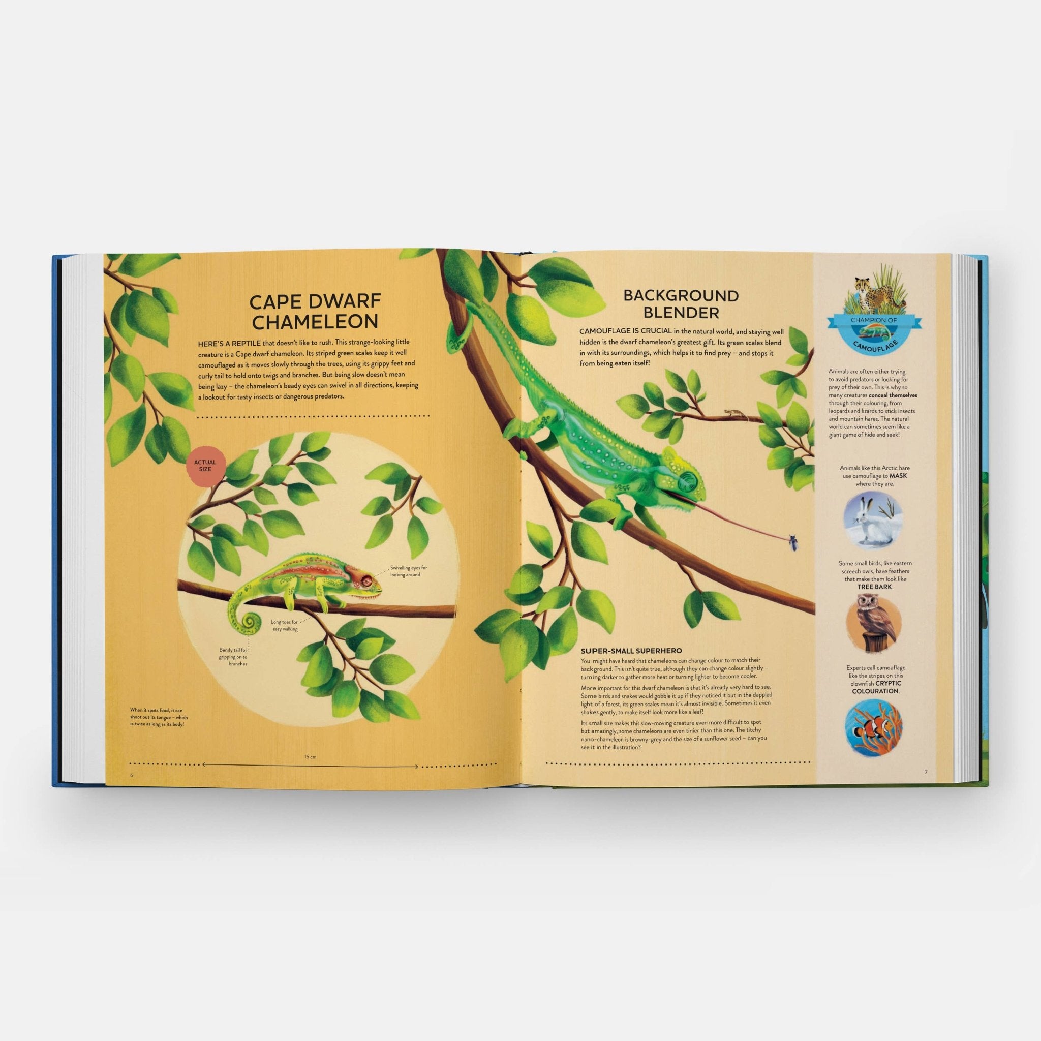Nature's Tiny Champions - Haliburtons & Co.