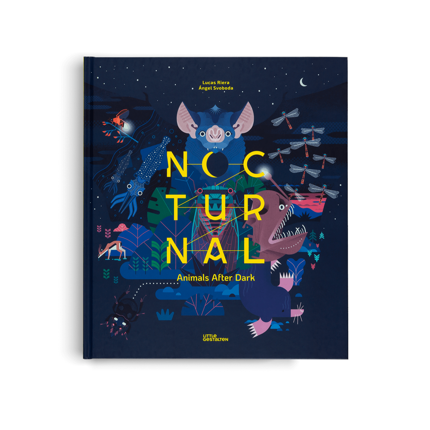 Nocturnal: Animals After Dark - Haliburtons & Co.