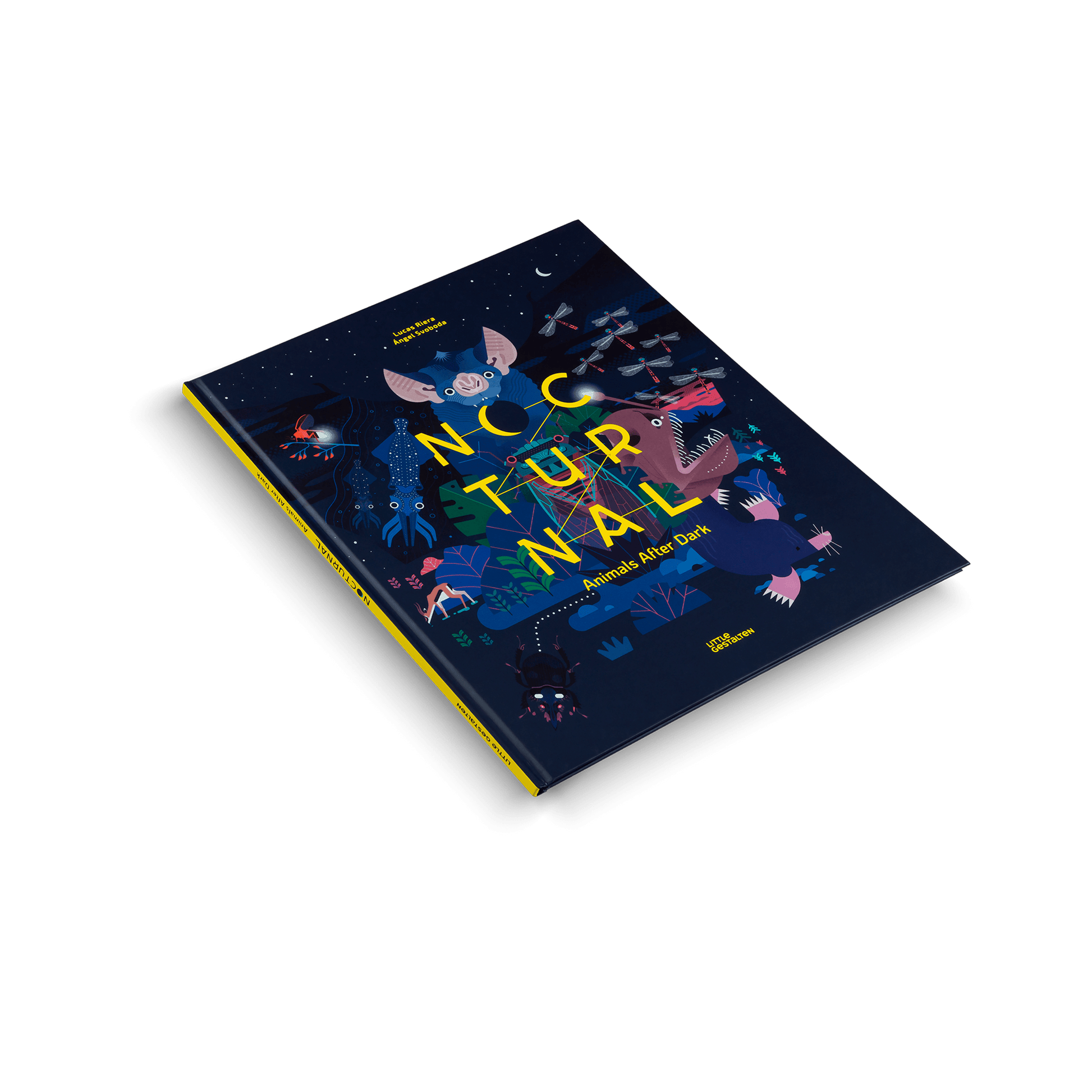 Nocturnal: Animals After Dark - Haliburtons & Co.