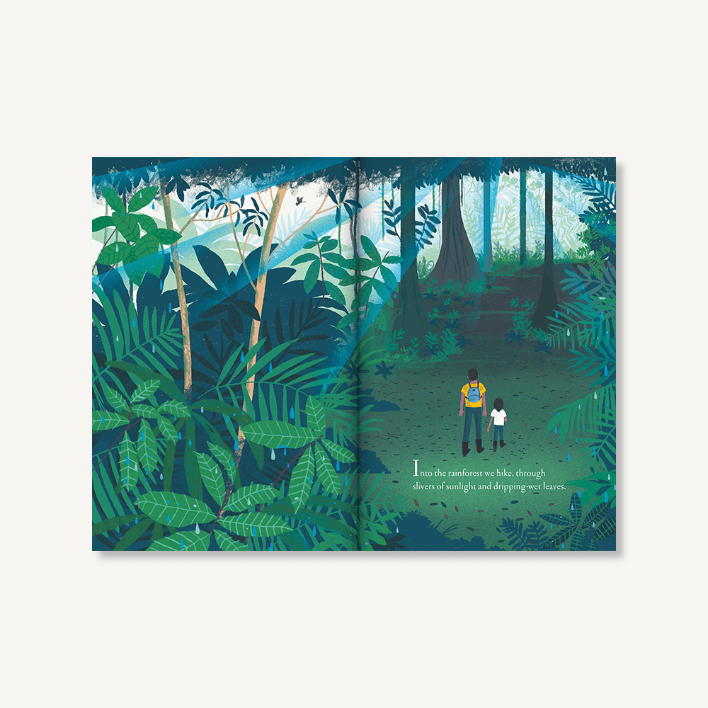 Over and Under the Rainforest by Kate Messner - Haliburtons & Co.