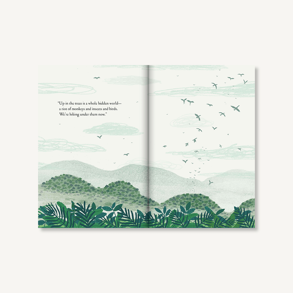 Over and Under the Rainforest by Kate Messner - Haliburtons & Co.