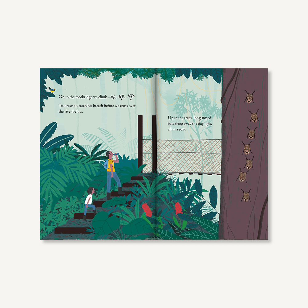Over and Under the Rainforest by Kate Messner - Haliburtons & Co.