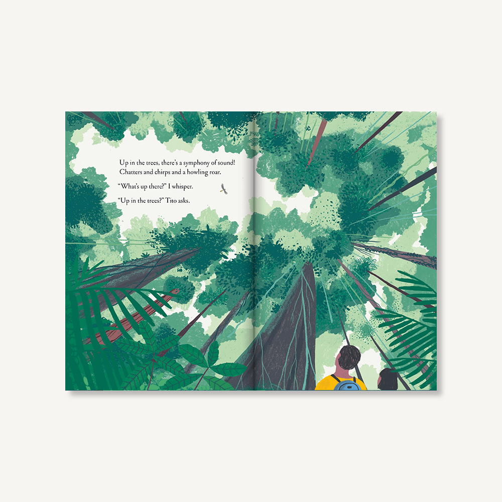 Over and Under the Rainforest by Kate Messner - Haliburtons & Co.