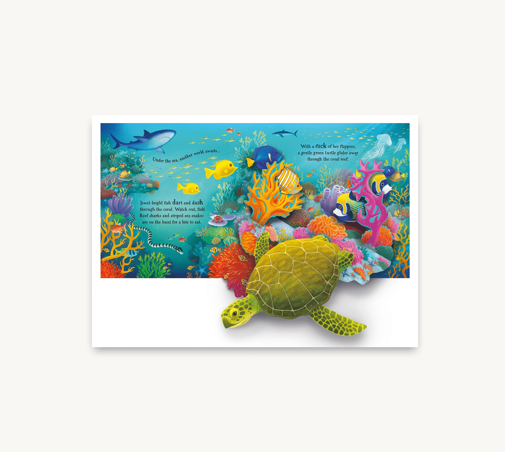 Colorful underwater scene with a turtle and various sea creatures on a book page.