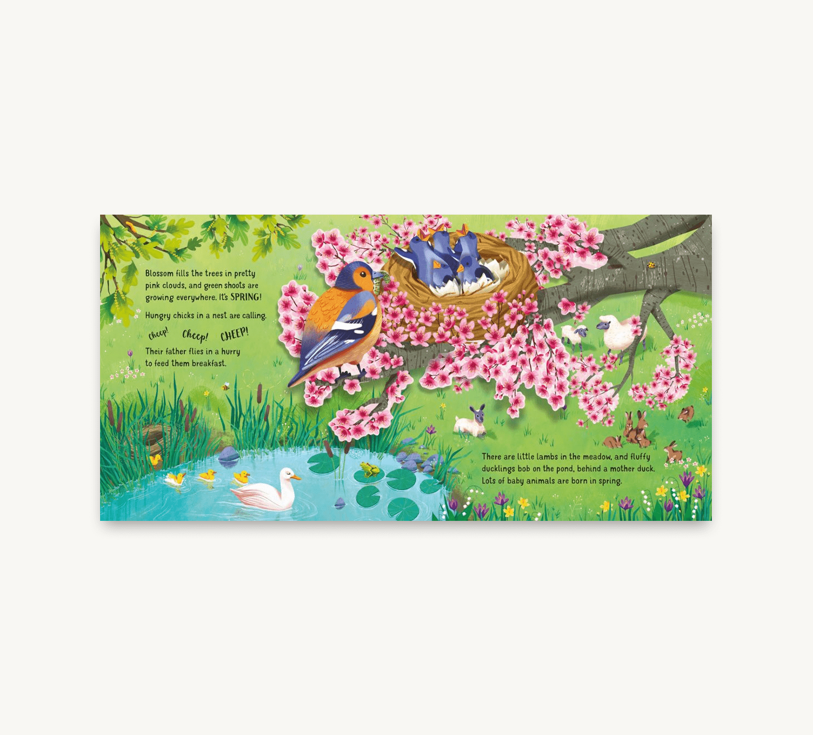 Colorful illustration of birds and nature on a book page