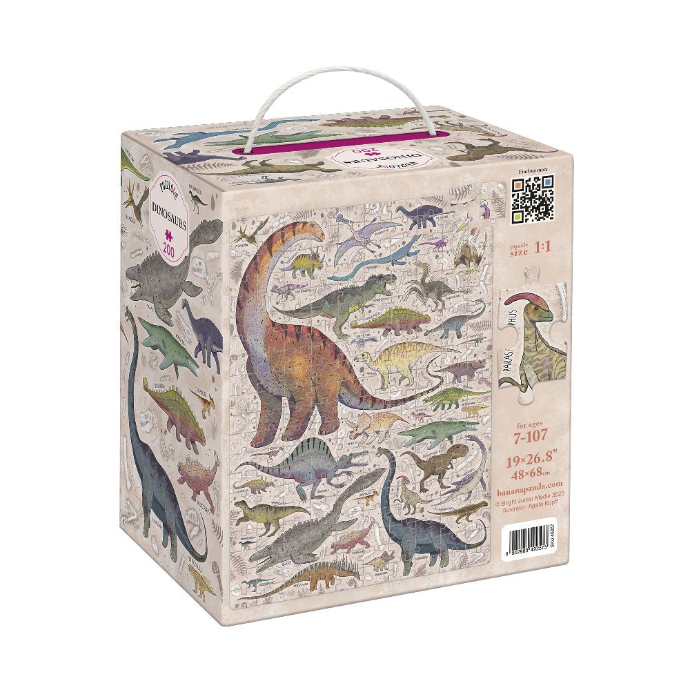 Dinosaur-themed puzzle box with illustrations of various dinosaurs on a white background