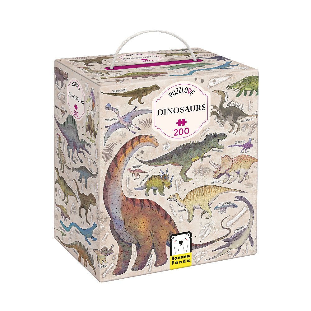 Puzzle box with dinosaur illustrations on a white background